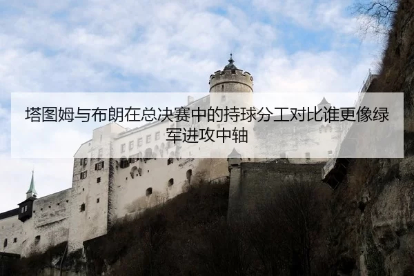 塔图姆与布朗在总决赛中的持球分工对比谁更像绿军进攻中轴