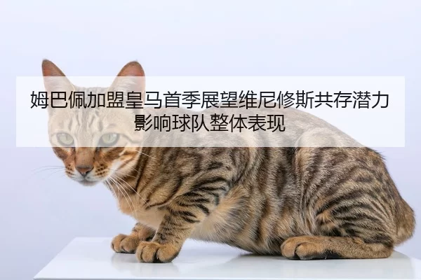 姆巴佩加盟皇马首季展望维尼修斯共存潜力影响球队整体表现