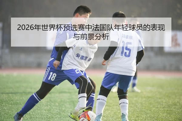 2026年世界杯预选赛中法国队年轻球员的表现与前景分析