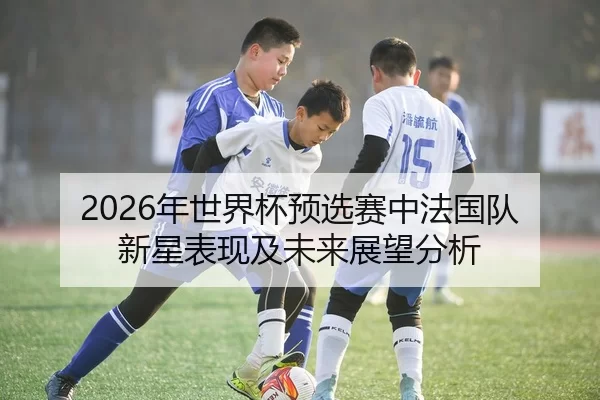 2026年世界杯预选赛中法国队新星表现及未来展望分析