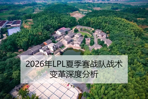 2026年LPL夏季赛战队战术变革深度分析