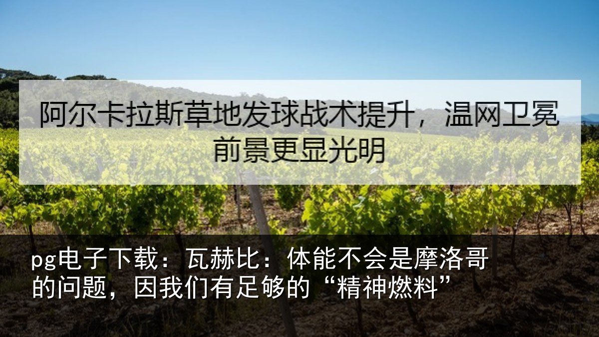 pg电子下载:瓦赫相关情况哥的相关情况的“精神燃料”