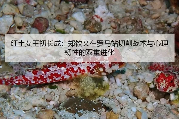 红土女王初长成：郑钦文在罗马站切削战术与心理韧性的双重进化