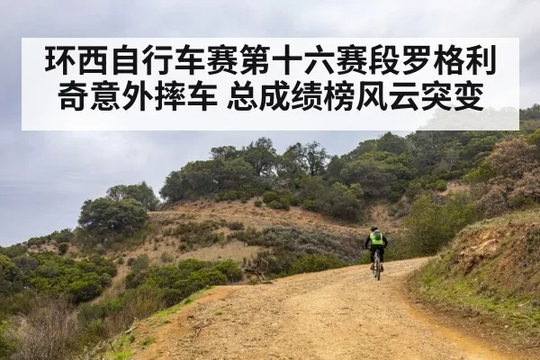 环西自行车赛第十六赛段罗格利奇意外摔车 总成绩榜风云突变