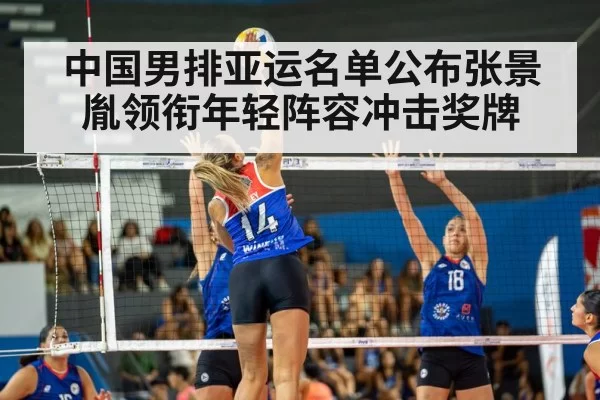volleyball spike action
